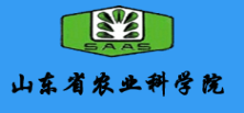 山东省农业科学院